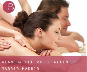 Alameda del Valle wellness (Madrid, Madrid)