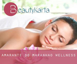 Amarante do Maranhão wellness