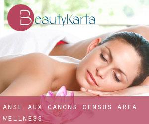 Anse-aux-Canons (census area) wellness