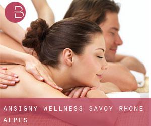 Ansigny wellness (Savoy, Rhône-Alpes)