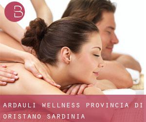 Ardauli wellness (Provincia di Oristano, Sardinia)