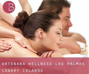 Artenara wellness (Las Palmas, Canary Islands)