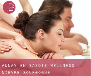 Aunay-en-Bazois wellness (Nièvre, Bourgogne)