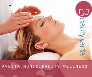 Avesta Municipality wellness