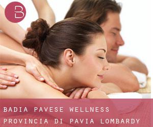 Badia Pavese wellness (Provincia di Pavia, Lombardy)