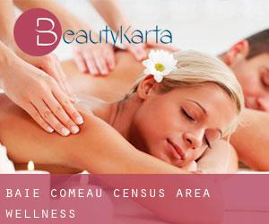 Baie-Comeau (census area) wellness