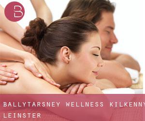 Ballytarsney wellness (Kilkenny, Leinster)