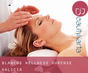 Blancos wellness (Ourense, Galicia)