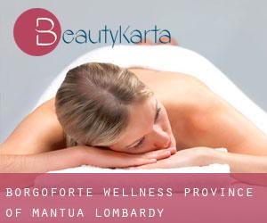 Borgoforte wellness (Province of Mantua, Lombardy)