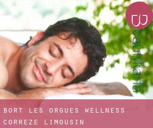 Bort-les-Orgues wellness (Corrèze, Limousin)
