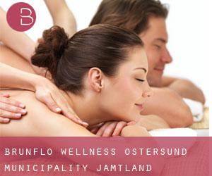 Brunflo wellness (Östersund municipality, Jämtland)