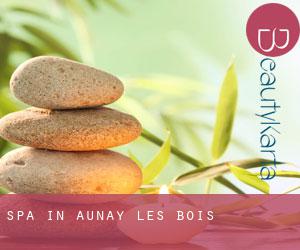 Spa in Aunay-les-Bois