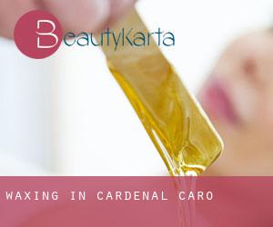 Waxing in Cardenal Caro