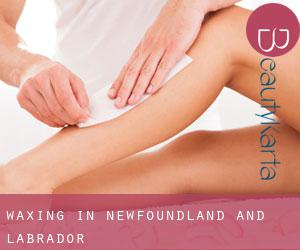 Waxing in Newfoundland and Labrador