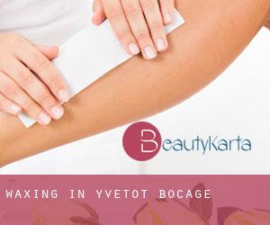 Waxing in Yvetot-Bocage