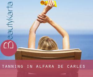 Tanning in Alfara de Carles