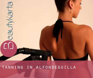 Tanning in Alfondeguilla