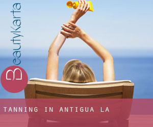 Tanning in Antigua (La)