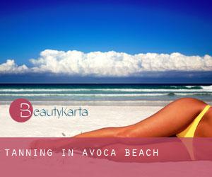 Tanning in Avoca Beach