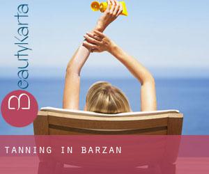 Tanning in Barzan