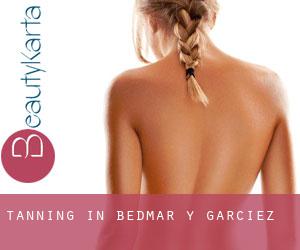 Tanning in Bedmar y Garcíez