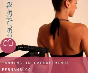 Tanning in Cachoeirinha (Pernambuco)
