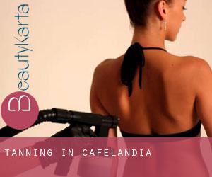 Tanning in Cafelândia