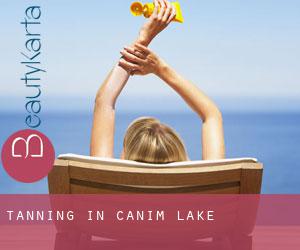 Tanning in Canim Lake