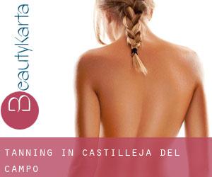 Tanning in Castilleja del Campo