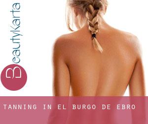 Tanning in El Burgo de Ebro