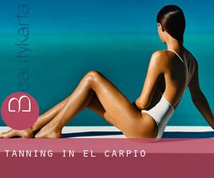 Tanning in El Carpio