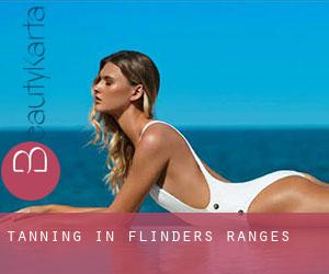 Tanning in Flinders Ranges