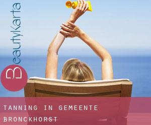 Tanning in Gemeente Bronckhorst