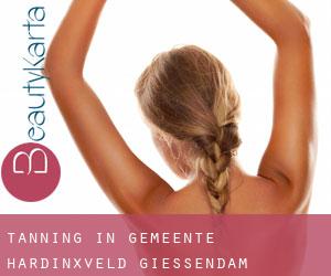 Tanning in Gemeente Hardinxveld-Giessendam