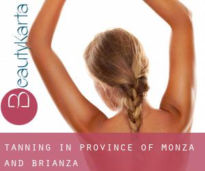 Tanning in Province of Monza and Brianza