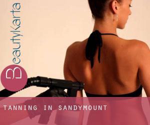 Tanning in Sandymount