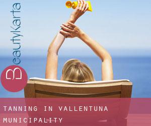 Tanning in Vallentuna Municipality