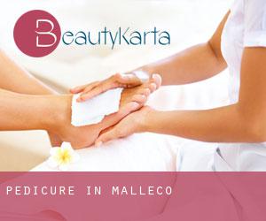 Pedicure in Malleco