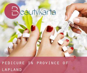 Pedicure in Province of Lapland