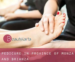 Pedicure in Province of Monza and Brianza
