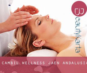 Cambil wellness (Jaen, Andalusia)