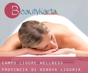 Campo Ligure wellness (Provincia di Genova, Liguria)