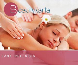 Cana wellness Cana wellness