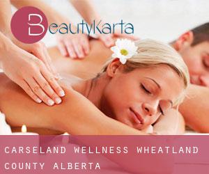 Carseland wellness (Wheatland County, Alberta)