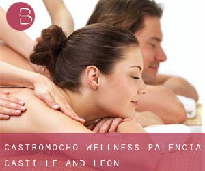 Castromocho wellness (Palencia, Castille and León)
