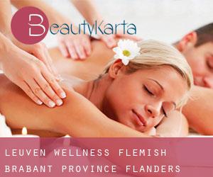 Leuven wellness (Flemish Brabant Province, Flanders)