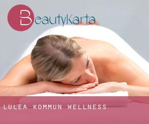 Luleå Kommun wellness