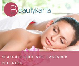 Newfoundland and Labrador wellness Newfoundland and Labrador wellness