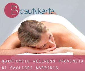 Quartucciu wellness (Provincia di Cagliari, Sardinia)