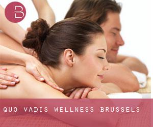 Quo Vadis Wellness (Brussels)